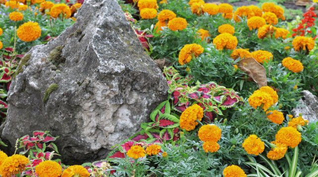 Применение камней в дизайне сада: 4 идеи, чтобы сделать участок красивее